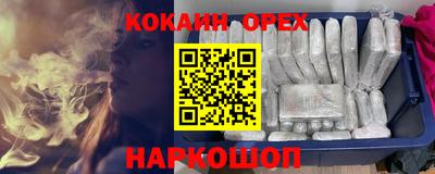 индика Бийск