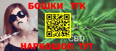 индика Бийск