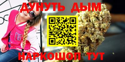индика Бийск