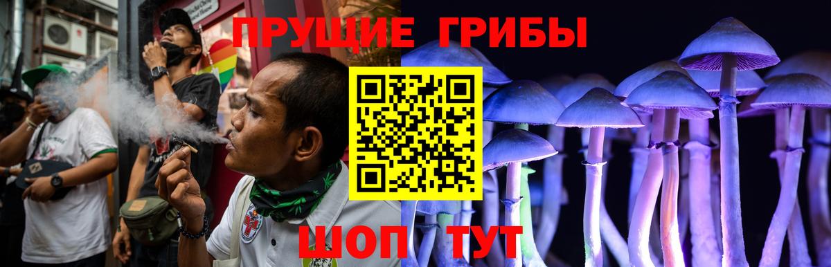 Кириши  наркошоп  Галлюциногенные грибы Magic Shrooms  Вход с VPN  Псилоцибиновые грибы Cubensis 